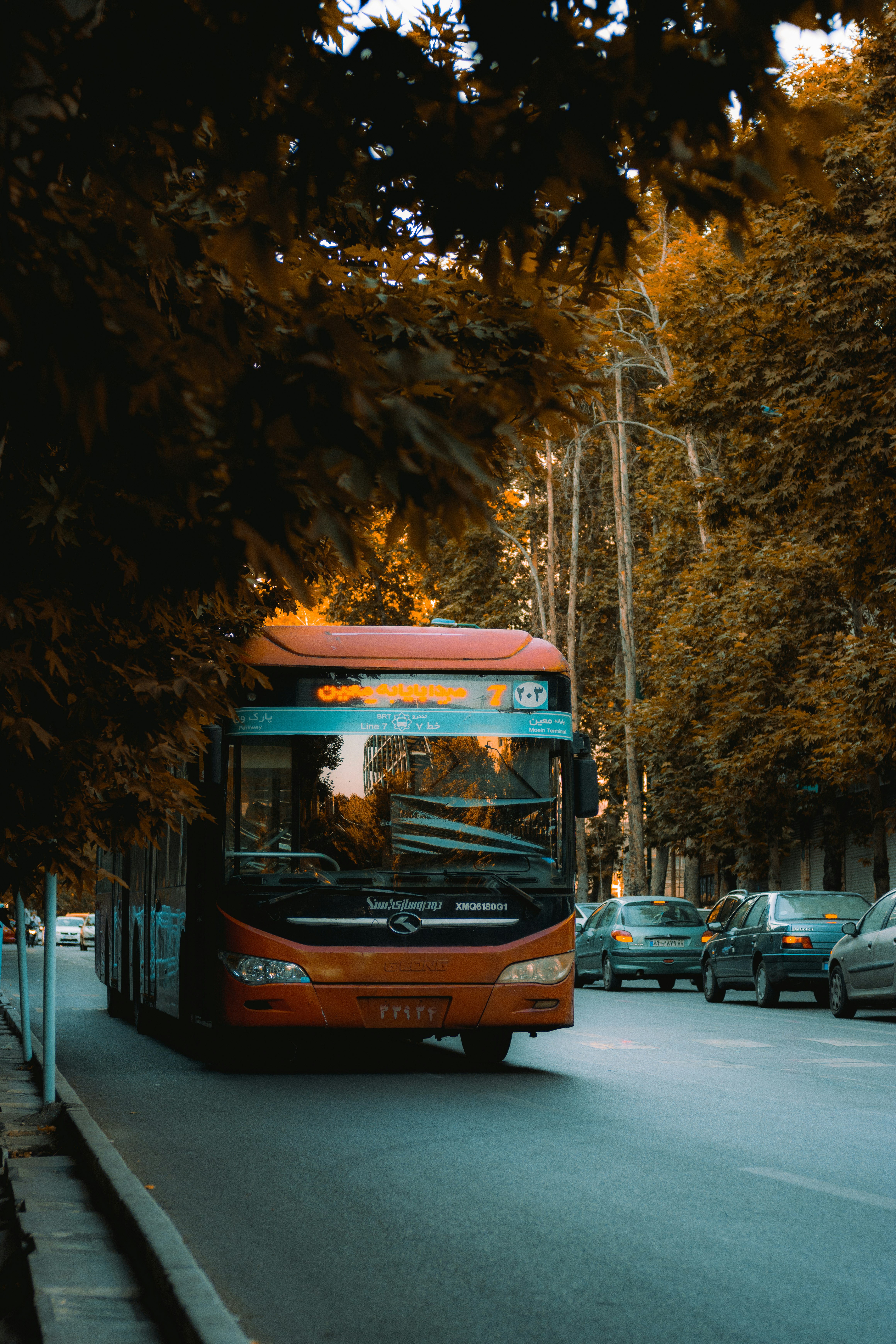 red and black bus on road during daytime